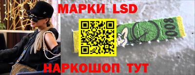 Альфа ПВП Гудермес