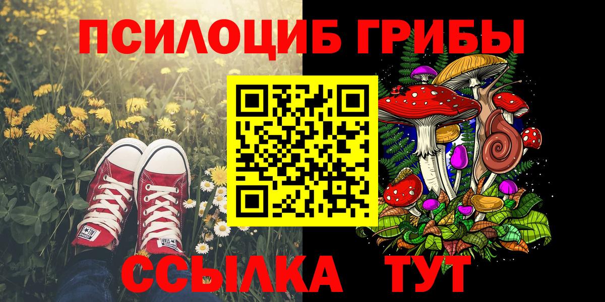 Галлюциногенные грибы мицелий  Галлюциногенные грибы мицелий  Батайск  Вход с VPN 