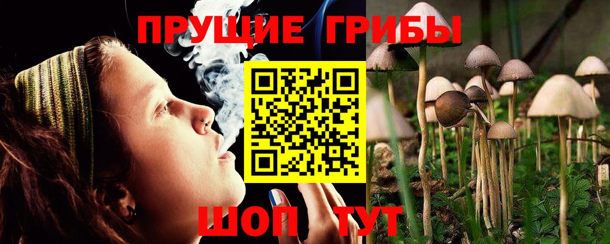 Псилоцибиновые грибы прущие грибы Батайск